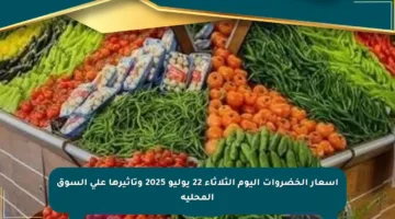 أسعار الخضروات اليوم الثلاثاء 22 يوليو 2025 وتأثيرها على السوق المحلية